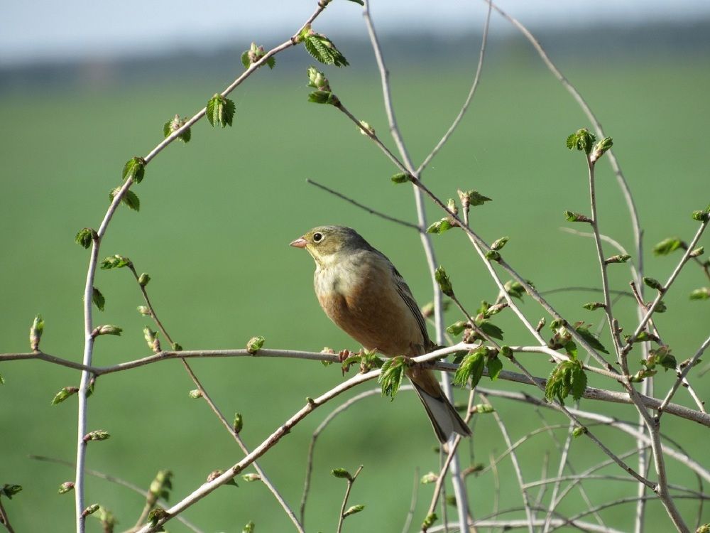Photograph by Денис Веску