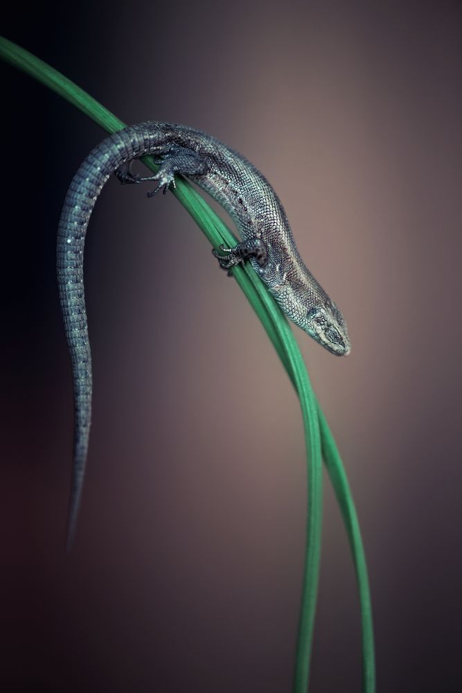 Photograph by Анастасия Думинская