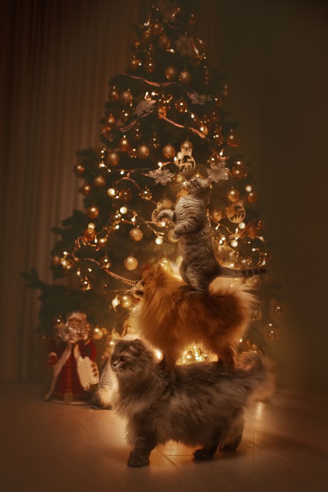 Photograph by Наталья Золотарева