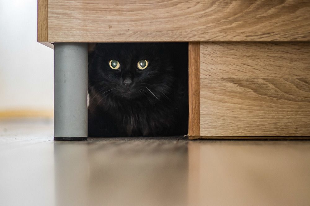 Photograph by Елена Илюхина