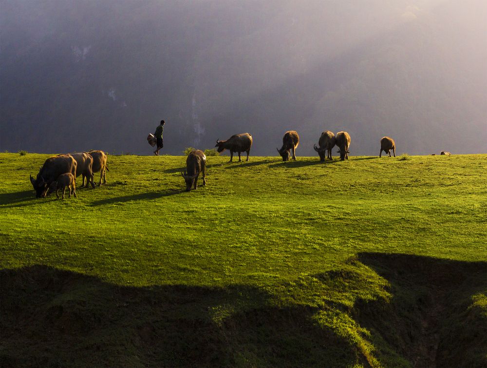 Photograph by Minh Chu Van