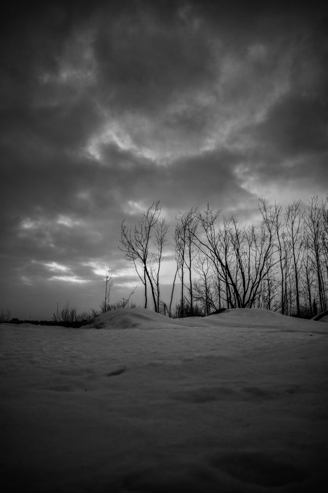 Photograph by Anna Borodina