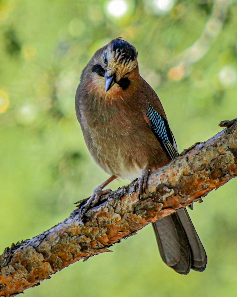 Photograph by Дмитрий Костяков