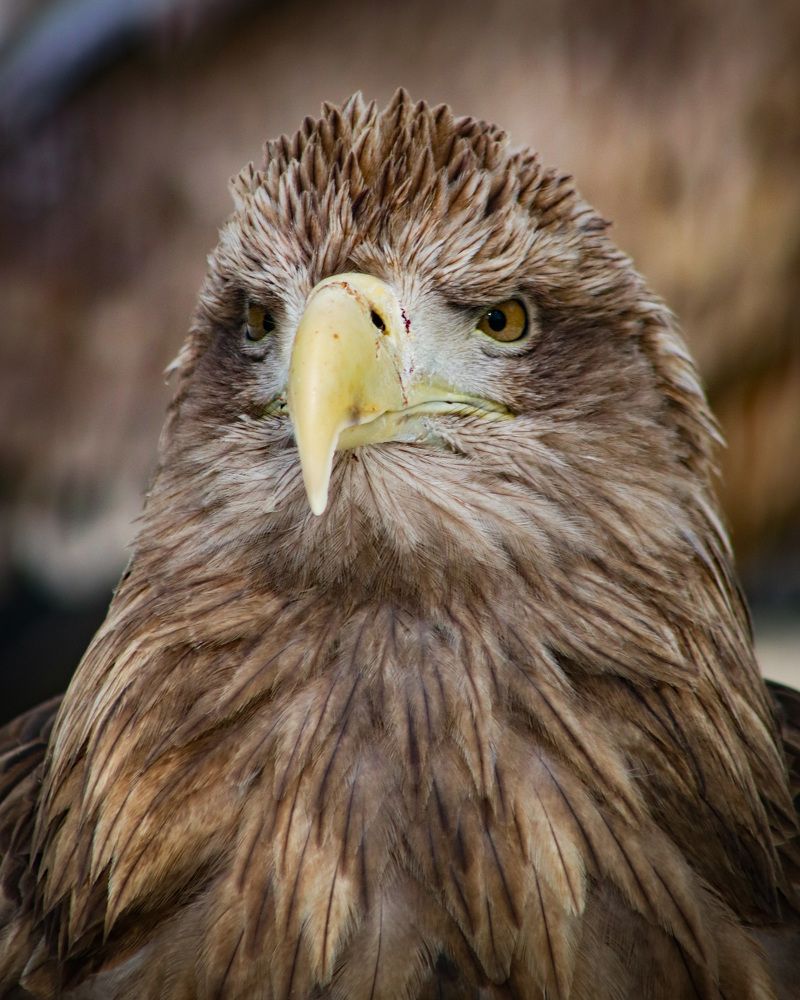 Photograph by Дмитрий Костяков