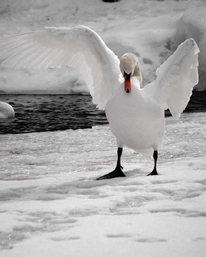 Photograph by Дмитрий Костяков