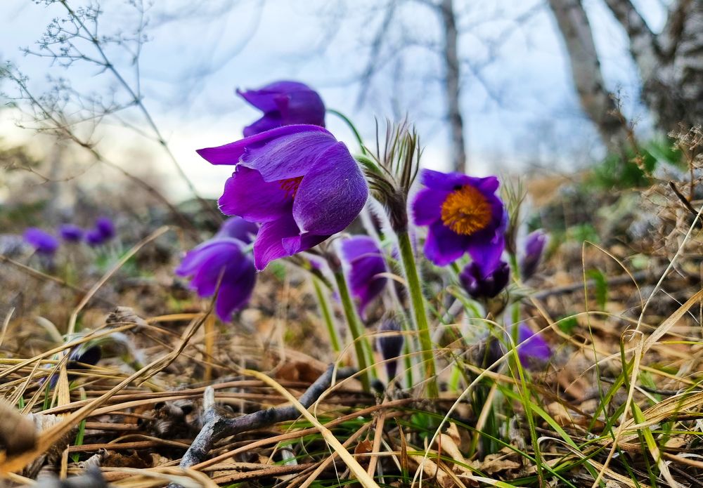 Photograph by Максим Фролов