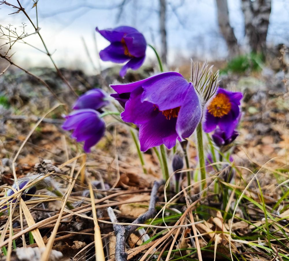 Photograph by Максим Фролов