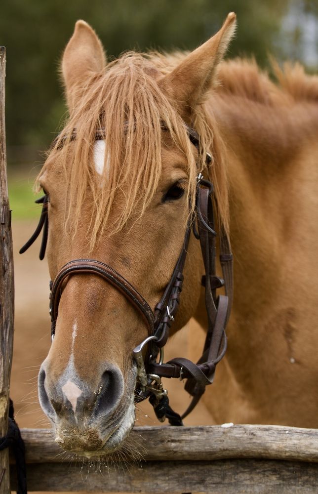 Photograph by Елена Ковалева