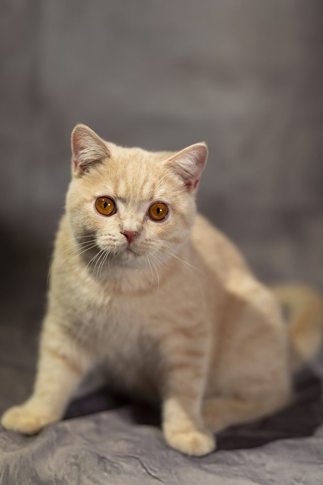 Photograph by Анастасия Малахова