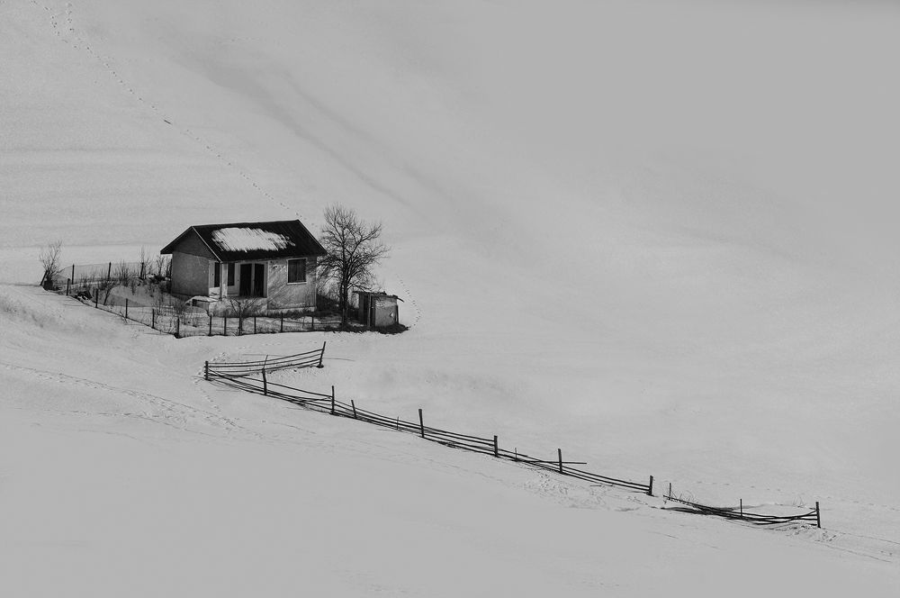 Photograph by Petya Lazarova