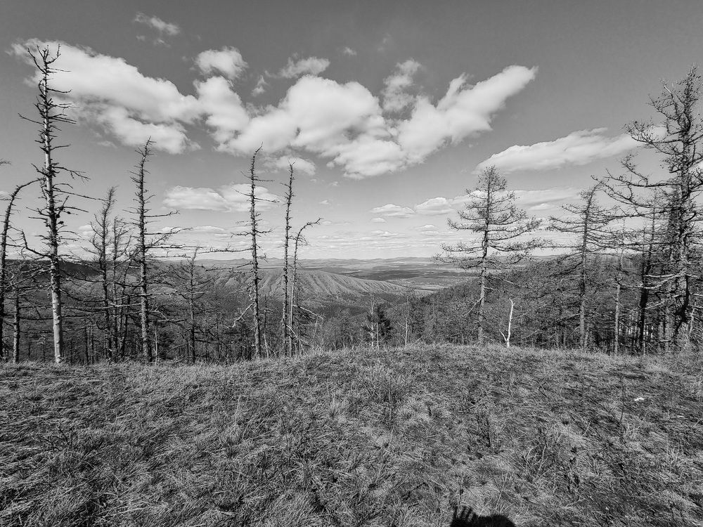 Photograph by Максим Фролов