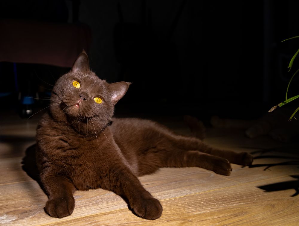 Photograph by Анастасия Малахова