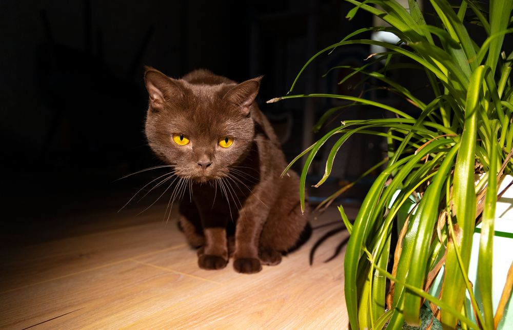 Photograph by Анастасия Малахова