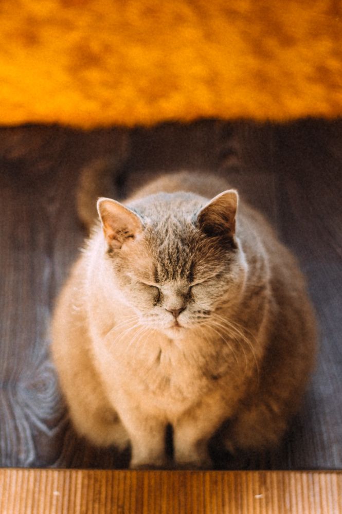 Photograph by Яна Резник