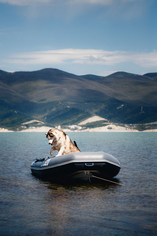 Photograph by Семен Тимофеев