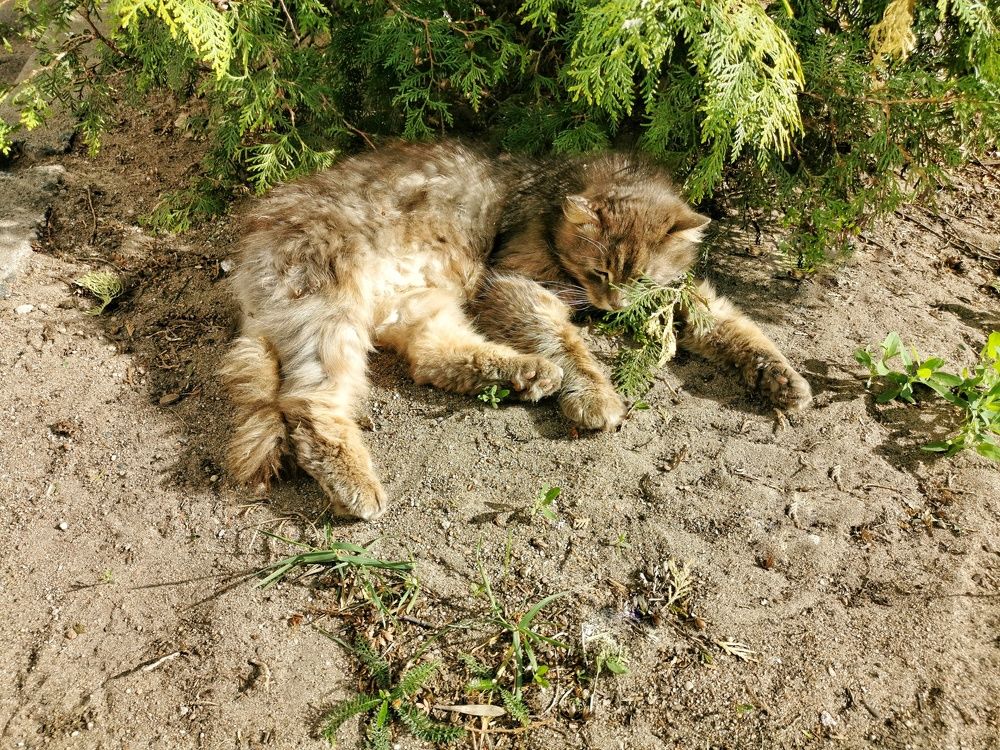 Photograph by Alexey Nuzha