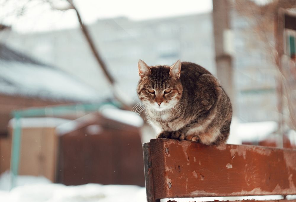 Photograph by Алёна Бондаренко