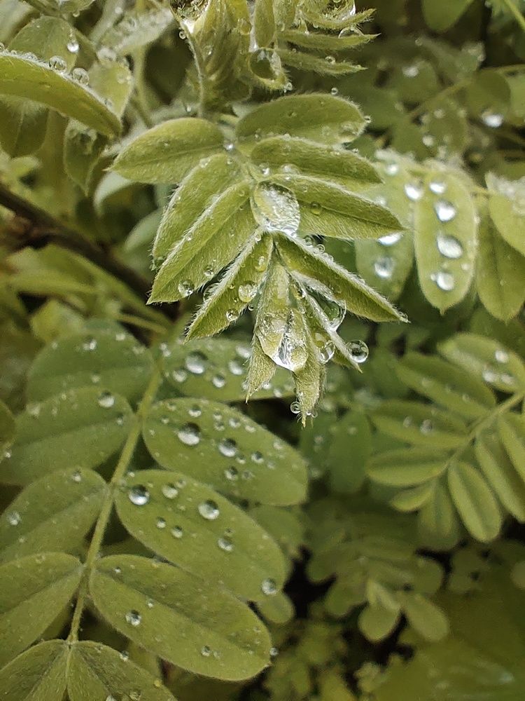 Photograph by Светлана Пудовкина