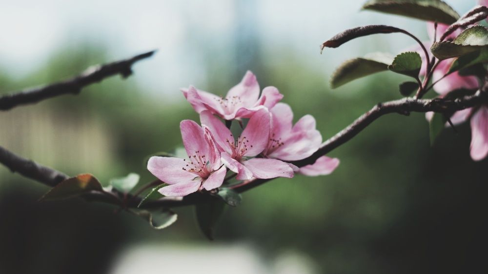 Photograph by Алёна Бондаренко