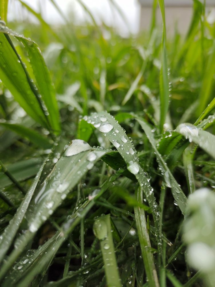 Photograph by Светлана Пудовкина