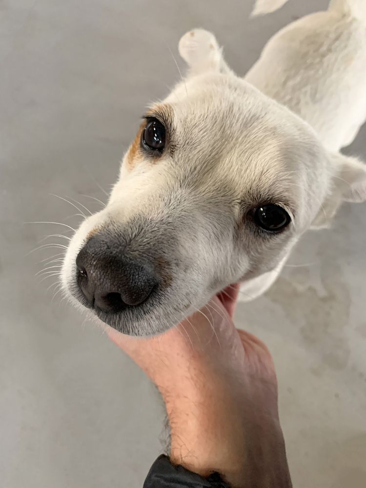 Photograph by Дмитрий Костяков