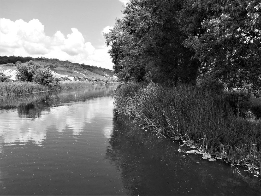 Photograph by Наталья Галай