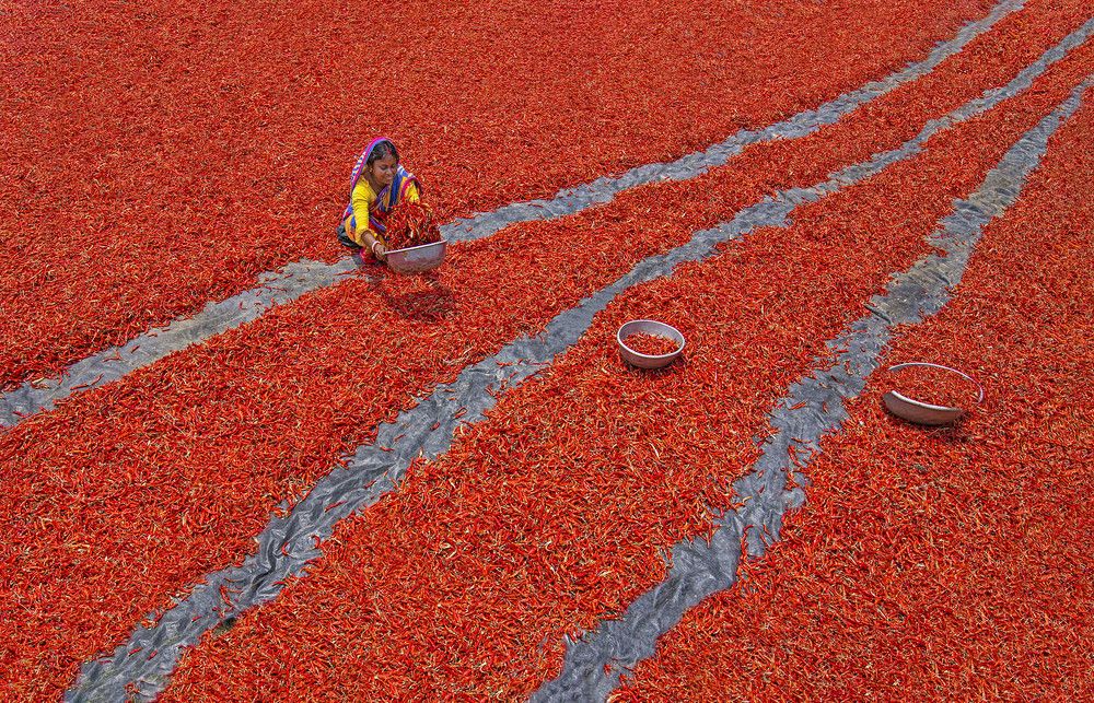 Photograph by Rupa Majumder Bhattacharyya