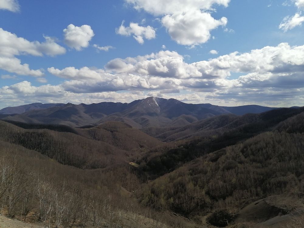 Photo #7561629