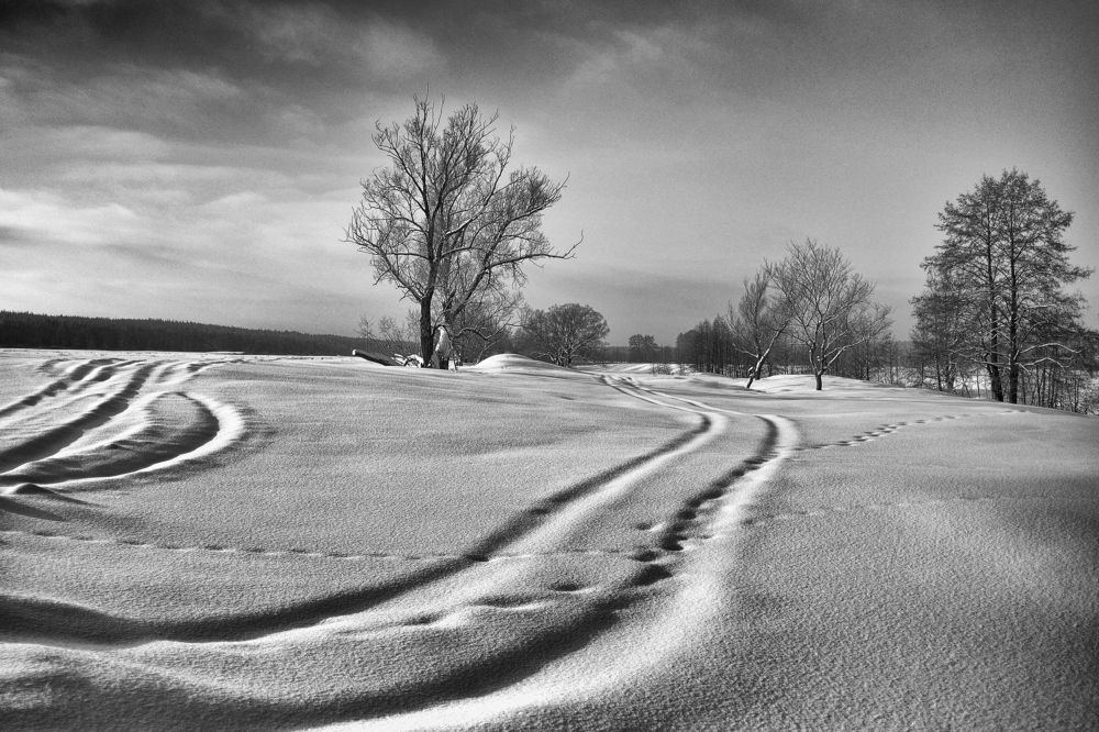 Photograph by Владимир Щеголев