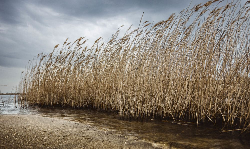 Photograph by Правоторов Вячеслав