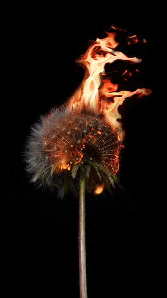 Photograph by Nagy Csaba