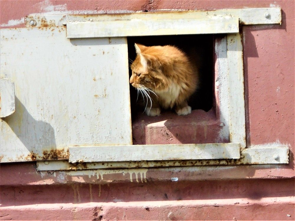 Photograph by Наталья Галай