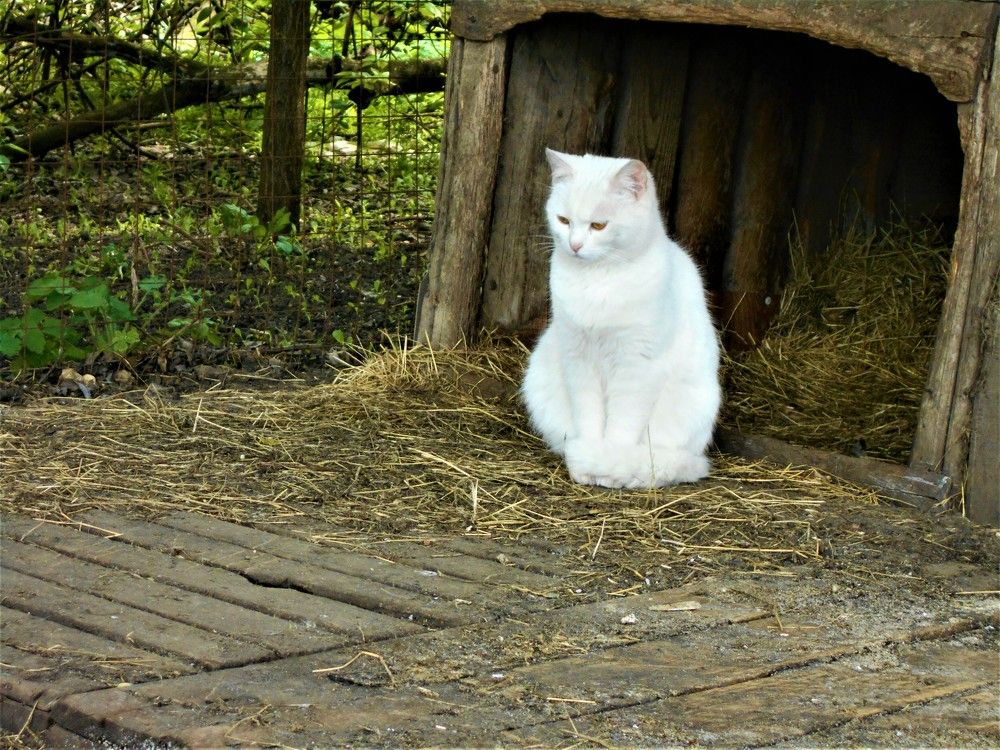 Photograph by Наталья Галай