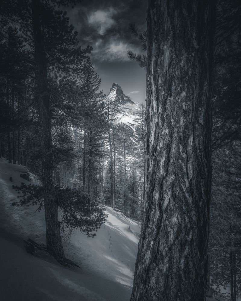 Photograph by Marko Klavs