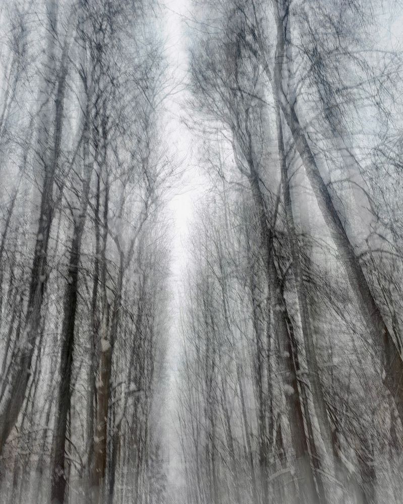 Photograph by Ксения Максименко