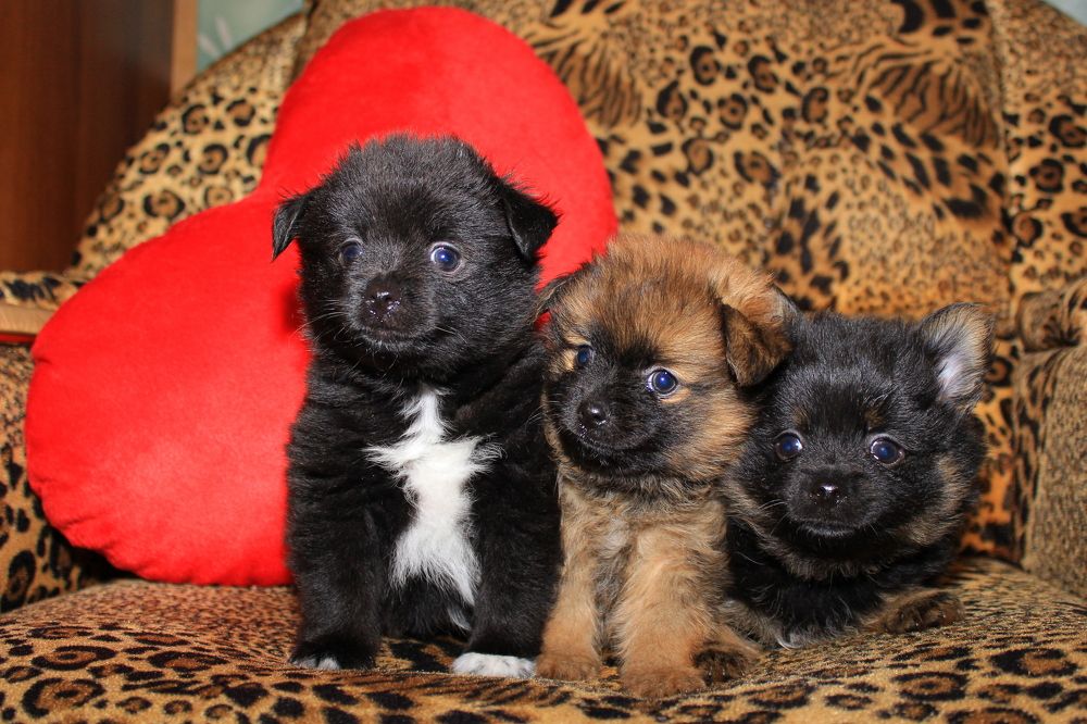 Photograph by Роман