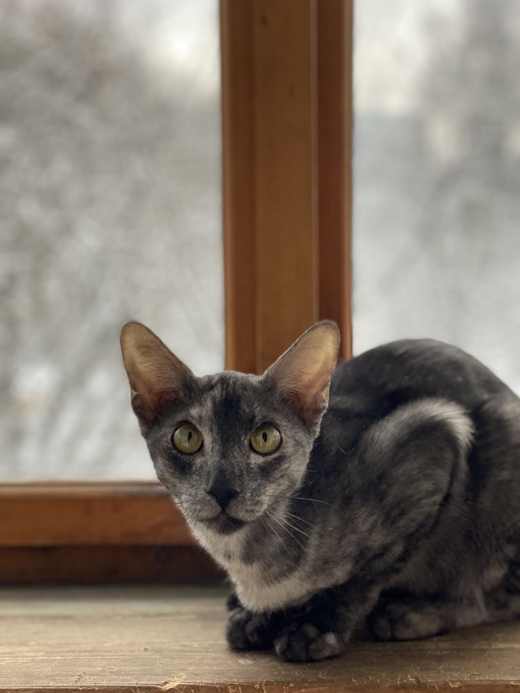 Photograph by Екатерина Амирасланова