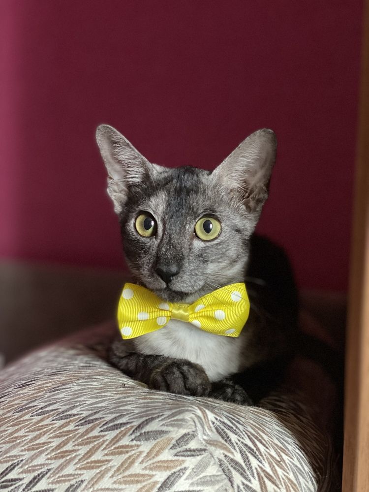 Photograph by Екатерина Амирасланова