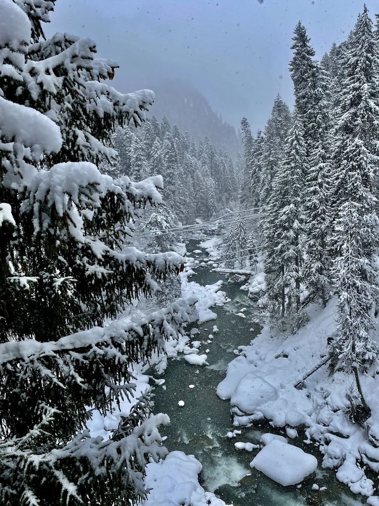Все времена года