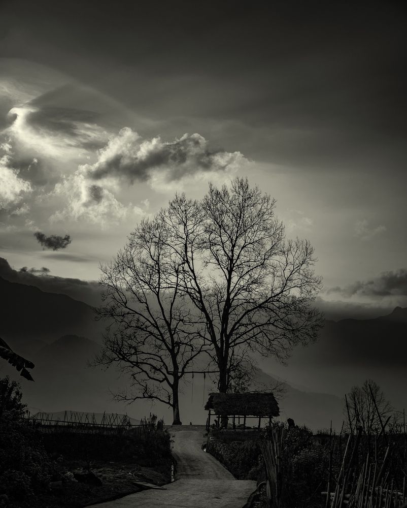 Phoenix in the sky - bầu trời Phượng Hoàng