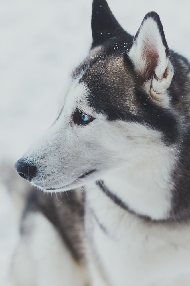 Photograph by Мария Бучнева