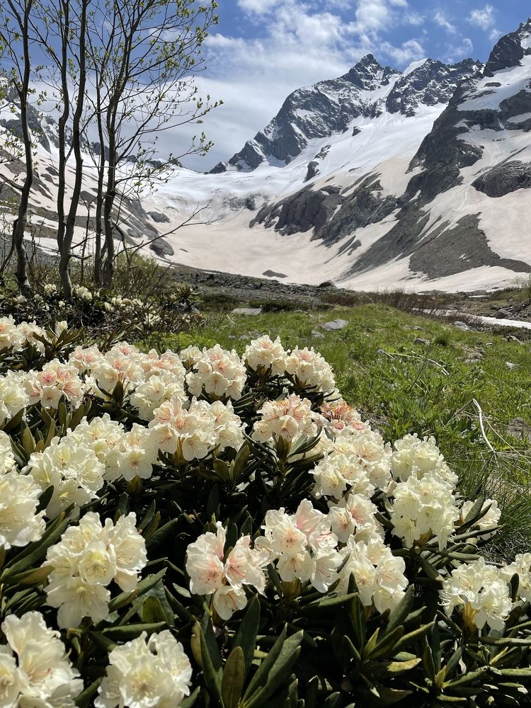 Фотография автора Юлия Недосекина