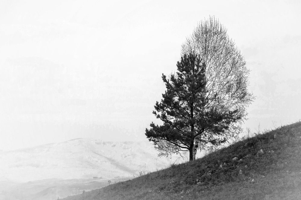 Photograph by Татьяна Ярмак