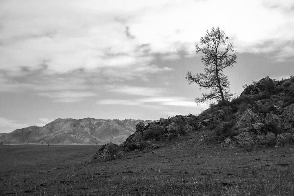 Photograph by Татьяна Ярмак