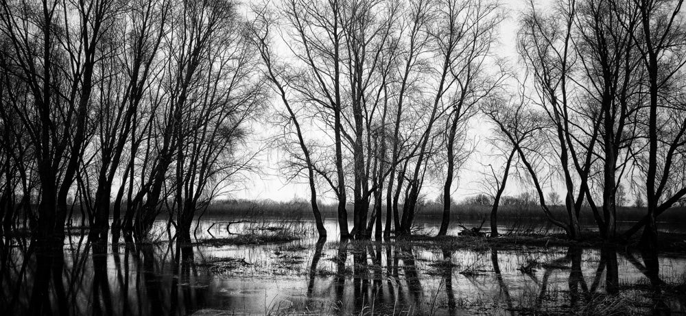 Фотография автора Карина Сёма