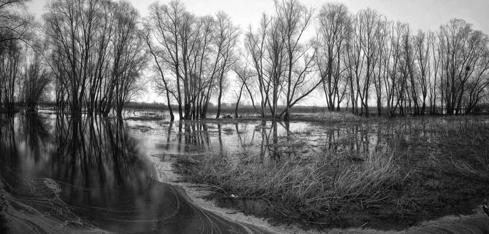 Фотография автора Карина Сёма