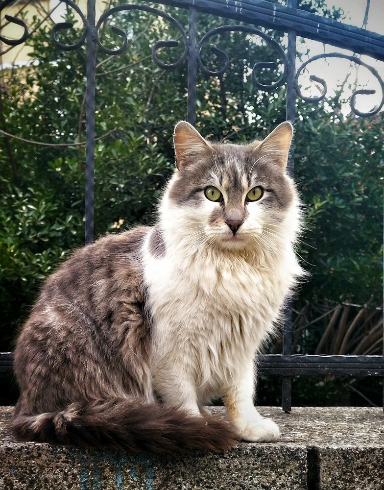 Photograph by Yana Marinova