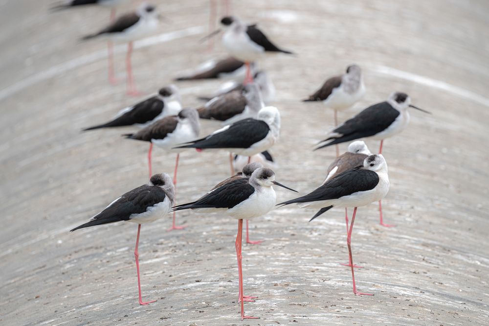 Photograph by Chan Benny