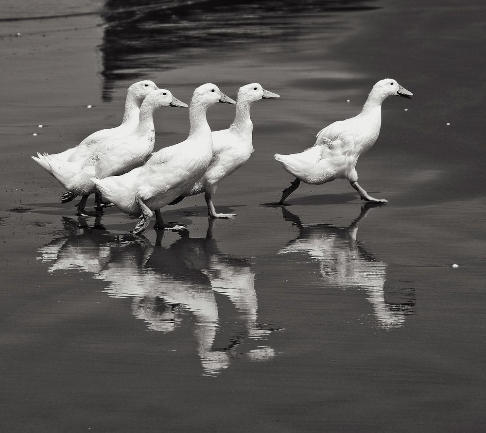 Photograph by Fatemeh Alipour