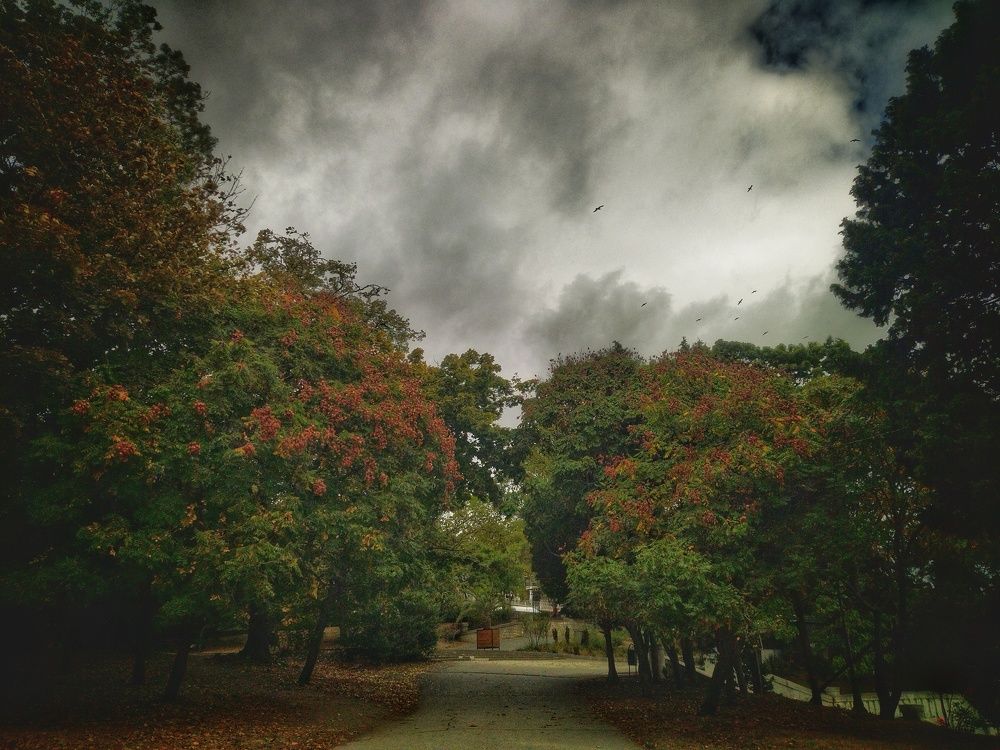 Photograph by Yana Marinova